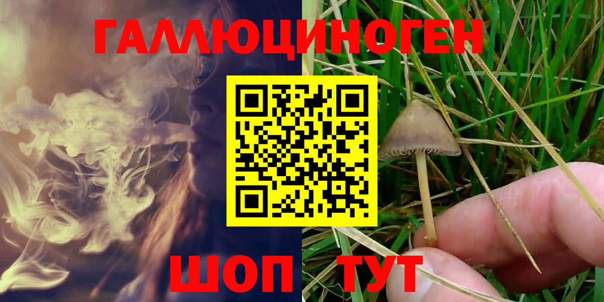 Галлюциногенные грибы мухоморы  Вход с VPN  Гагарин 